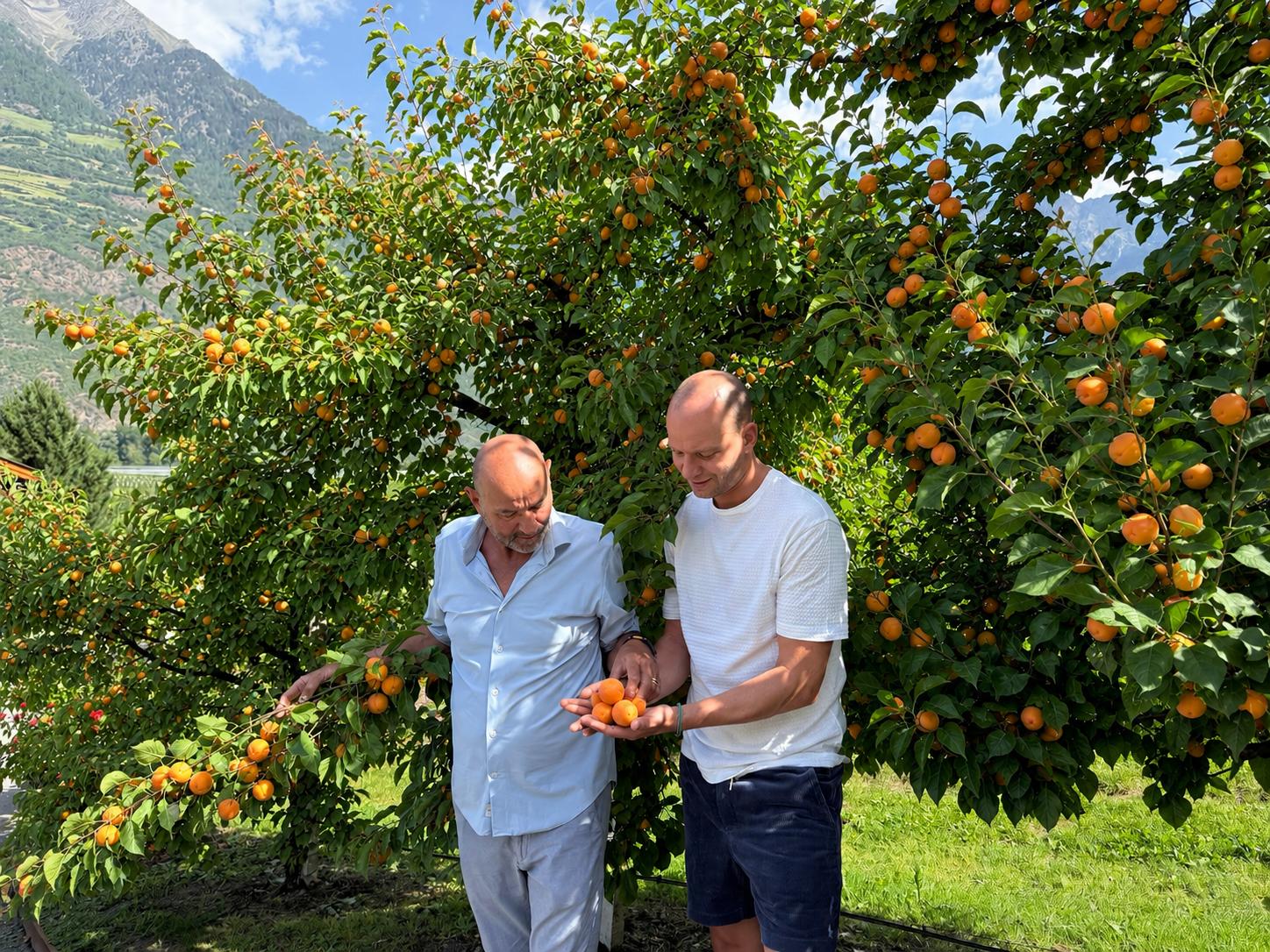 Vinschgau